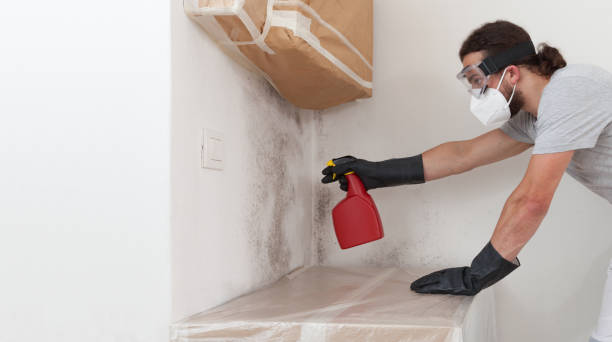 Professional Attic Mold Remediation technician working in Cherry Hill, NJ