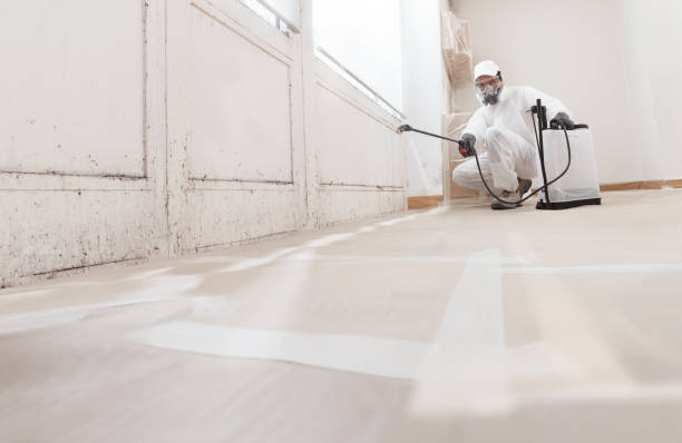 24/7 Emergency Attic Mold Remediation experts in Cherry Hill, NJ